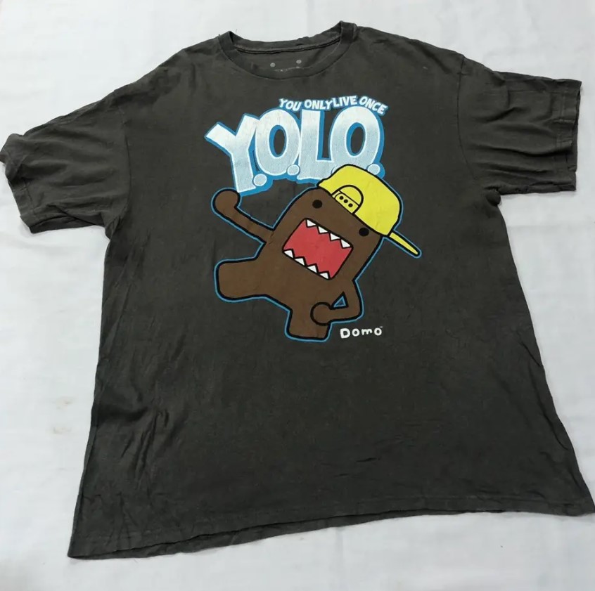 Vintage Domo Kun YOLO You Only Live Once Shirt Outfit, Shirt Outfit Idea