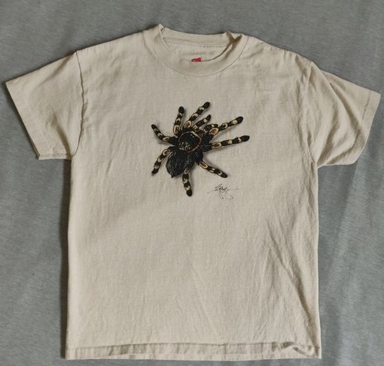 Tarantula spider Tee Shirt Outfit, Shirt Outfit Idea