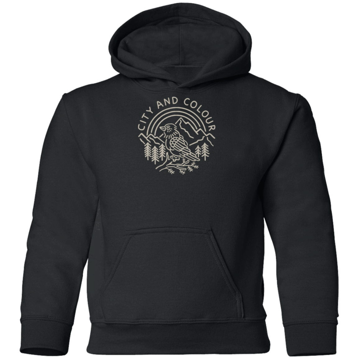 City And Colour Merch Robin 1 Youth Hoodie