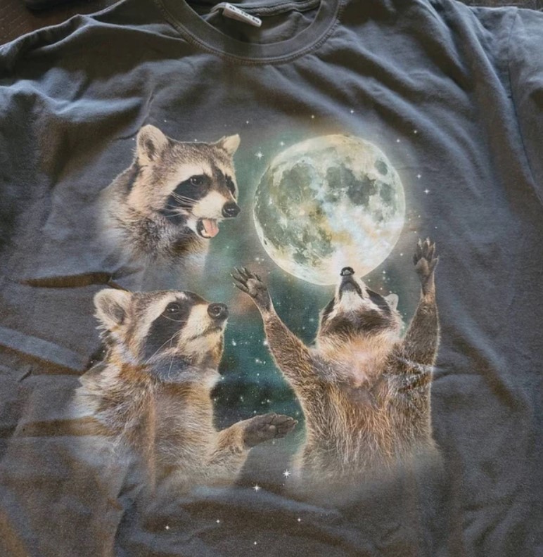 Three Raccoons Vintage Graphic Moon Tee Shirt Outfit, Shirt Outfit Idea