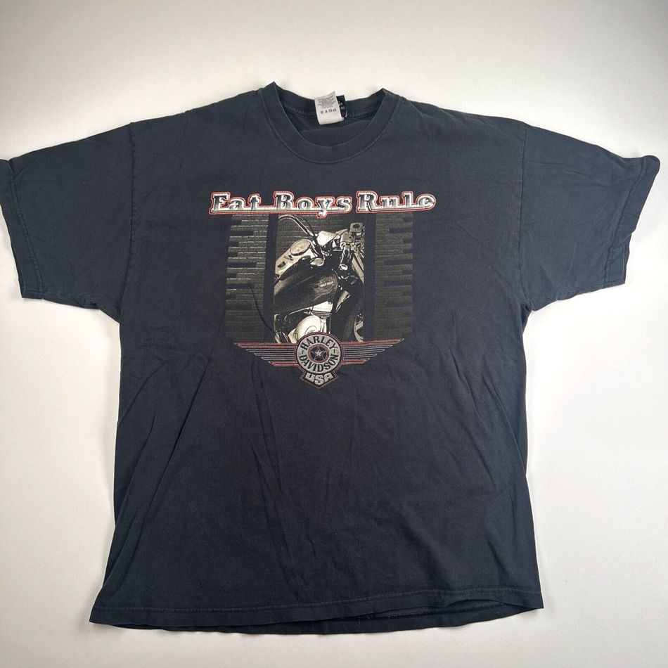 Vintage 2002 Harley Davidson Fat Boys Rule Shirt, Shirt Outfit, Gift For Men, Gift For Women