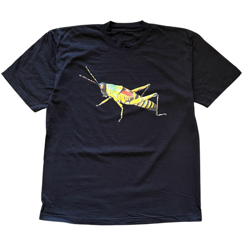 Single Grasshopper Tee Shirt Outfit, Shirt Outfit Idea