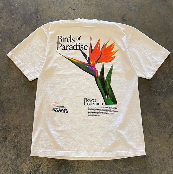 Birds Of Paradise Flower Collection Back Side Tee Shirt Outfit, Shirt Outfit Idea