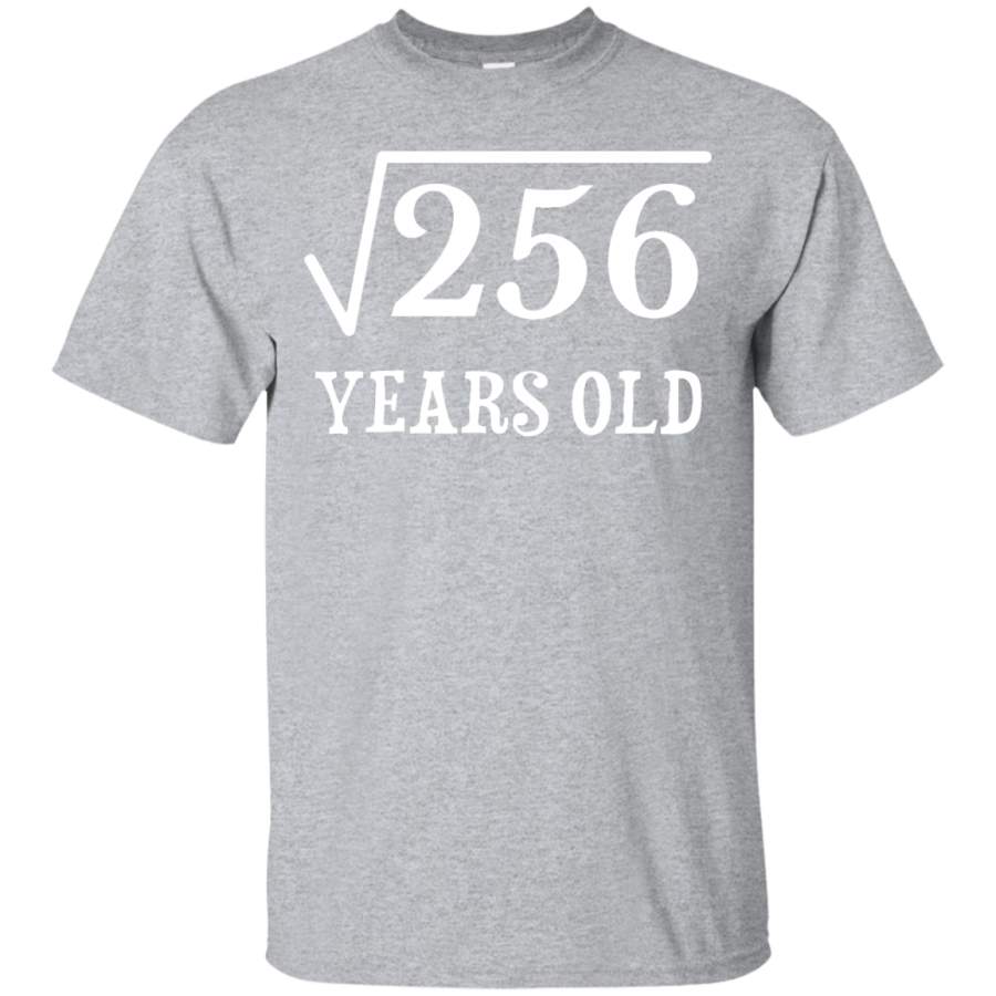 Square Root of 256 16 yrs years old 16th birthday T-Shirt