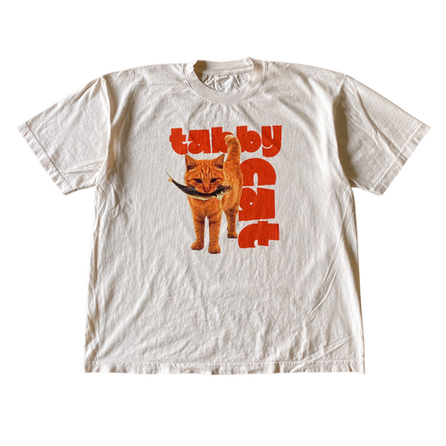 Tabby Cat With Fish Tee Shirt Outfit, Shirt Outfit Idea