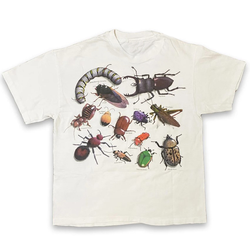 Vintage Entomology Tee Shirt Outfit, Shirt Outfit Idea