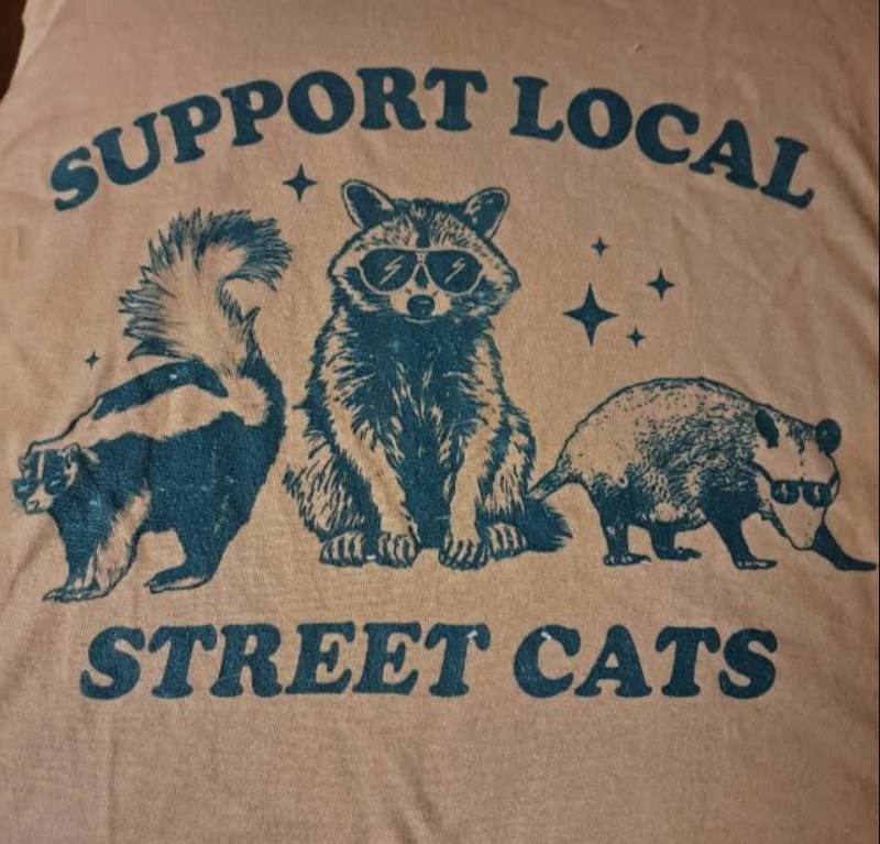 Support Your Local Street Cats Graphic Vintage Raccoon Shirt Outfit, Shirt Outfit Idea